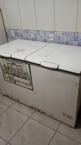 Frangueira + Freezer + Assadeira - Kit Completo R$ 3.000