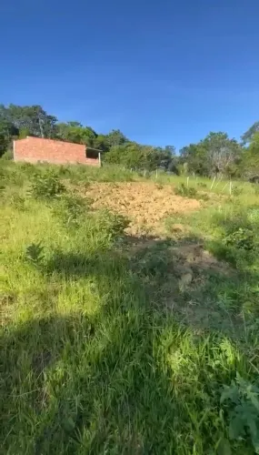 Lotes no Mariano