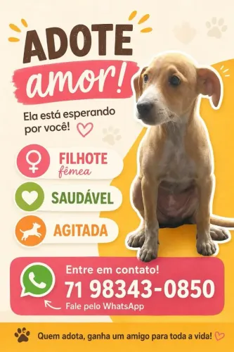 Doa-se cadela filhote
