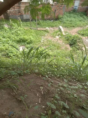 Vendo terreno na nova liberdade olaria