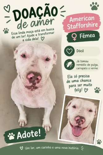 Doação