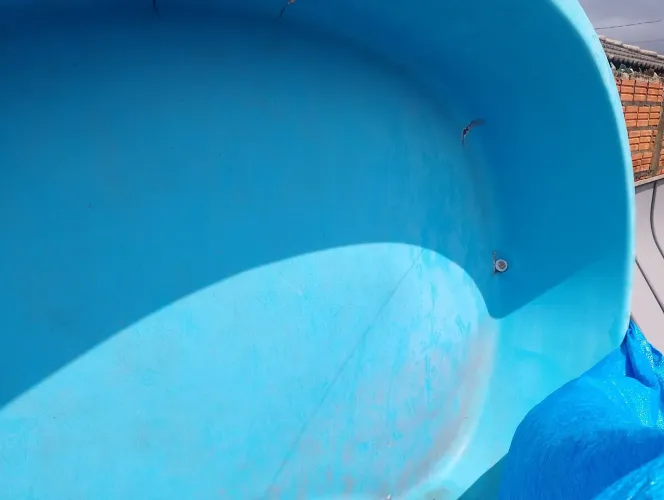 Piscina feijao