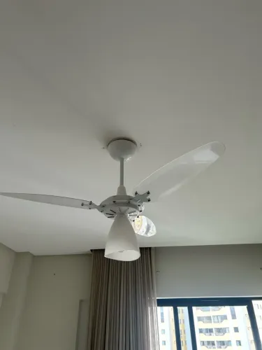 2 Ventiladores de teto por 100,00