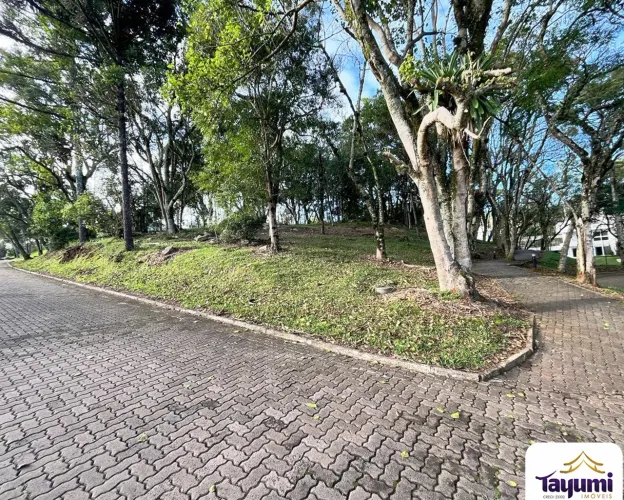 Terreno acima do nível da rua com grandes dimensões, 30 metros de frente por 33,00 metros 