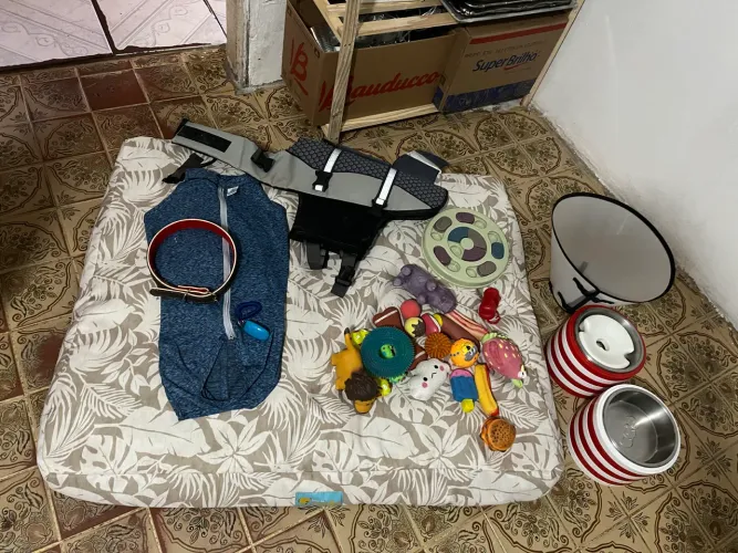 Kit Completo Cachorro GG - Cama + Comedouro + Brinquedos + Roupa Cirúrgica