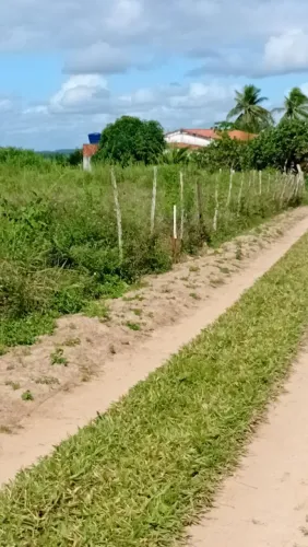 Lote grande, que dá para fazer um mini sítio.