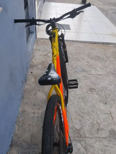 Bicicleta  Grau