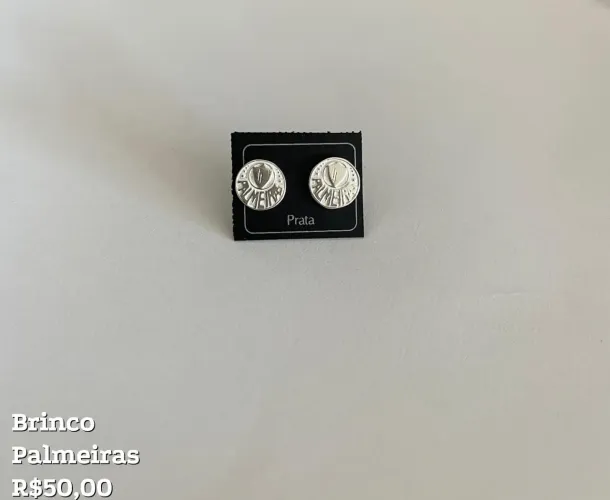 Brinco de Prata925 ( Palmeiras)