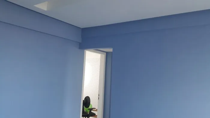 Pintor profissional