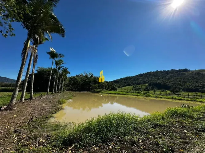 TERRENO RESIDENCIAL E INDUSTRIAL (20.000m2) EXCELENTE PARA CONSTRUÇÃO DE GALPÃO NA CIDADE