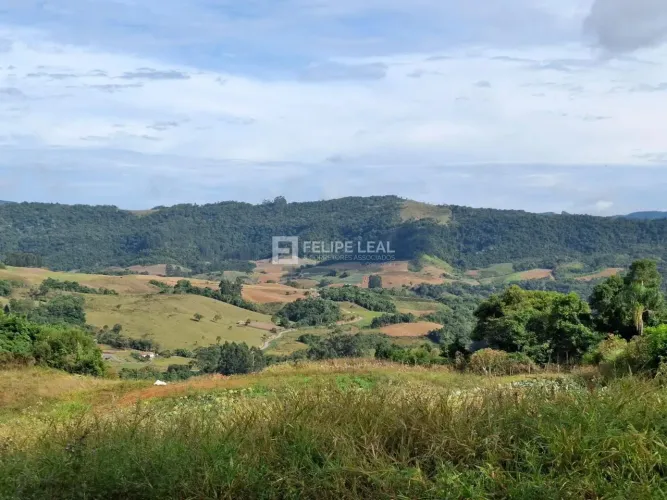 Terreno Área em Barra Clara - Angelina, SC