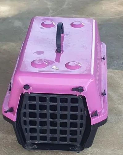 Caixa de transporte para pet