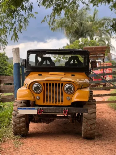 Willys Overland Jeep 2.6 12V Gasolina 2P 1967