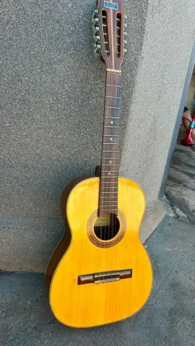 Viola DEL VECCHIO