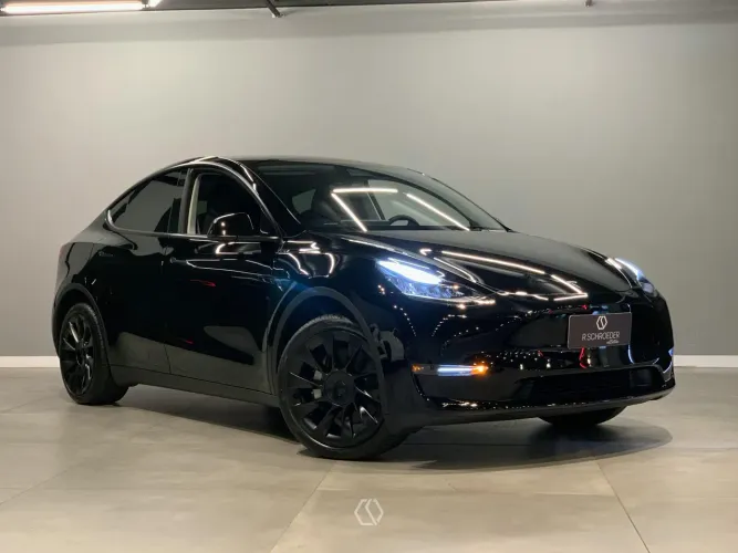 Tesla Model Y Performance 2022