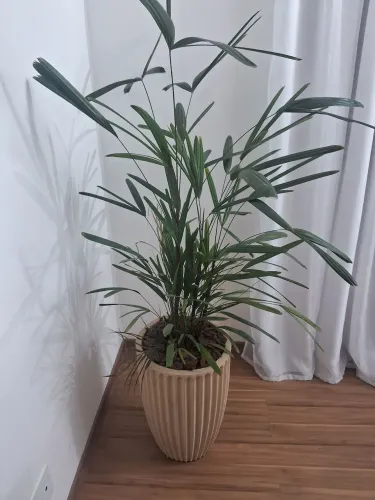 Vaso de cimento com planta 