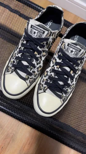 All Star animal print 