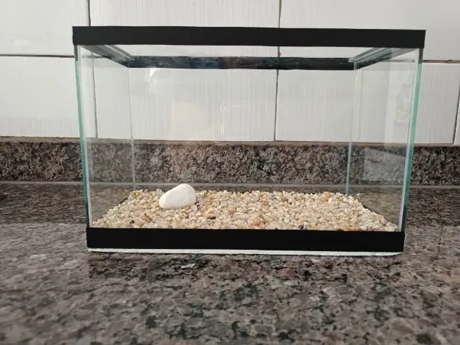 Aquário pequeno (9 litros)