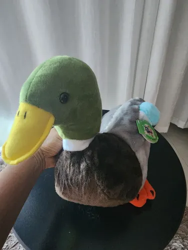 Pelúcia pato fofo