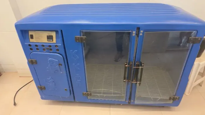 Máquina de secar cachorro