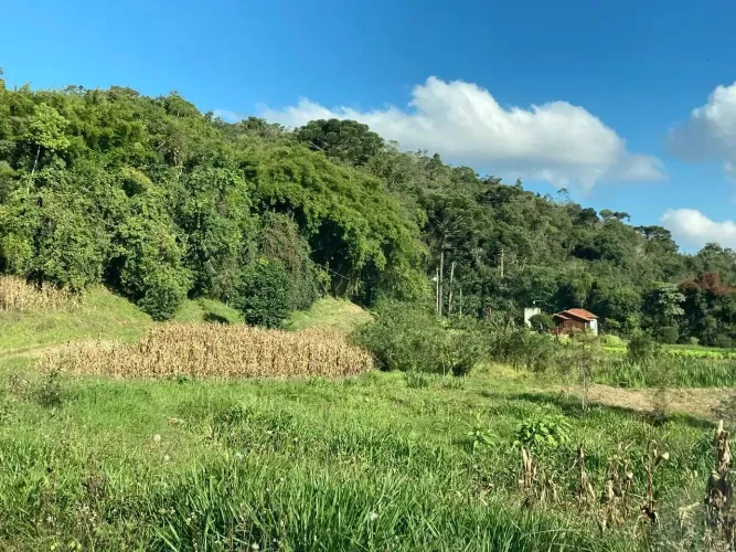 Fazenda/Sítio/Chácara para venda tem 87 metros quadrados com 3 quartos
