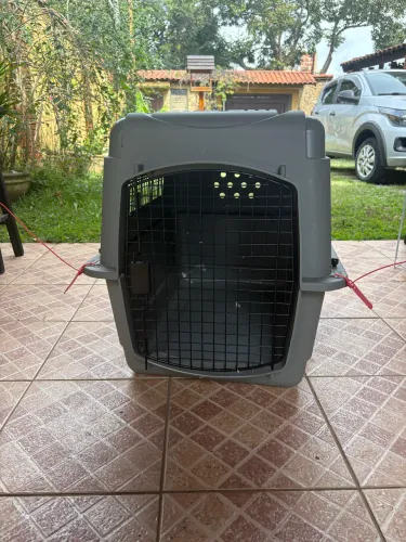     Caixa de Transporte Pet Grande