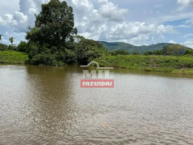 Fazenda 565 alqueires (2.735 hectares) Monte alegre - GO