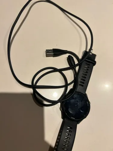 Garmin 255 music