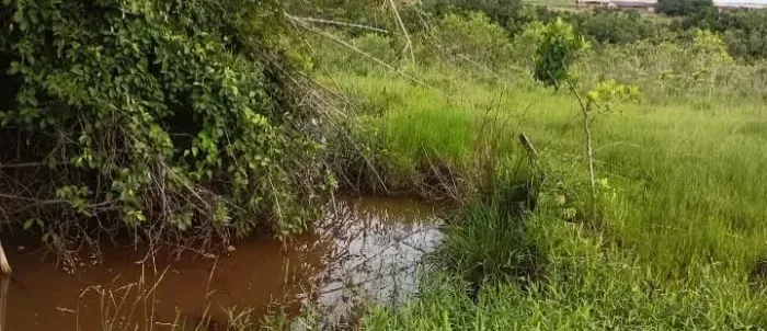 SÍTIO À VENDA FOCO EM RENDA E PECUÁRIA | ÁLVARES FLORENCE/SP