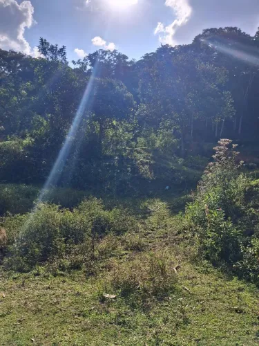 Terreno em Santa Izabel