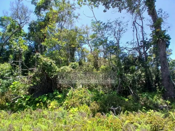Terreno De Oportunidade à Venda na Salinas em Bal. Barra do Sul Sc