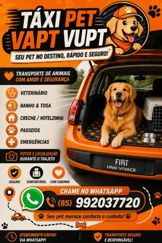 Táxi Pet 