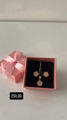Conjunto semijoia