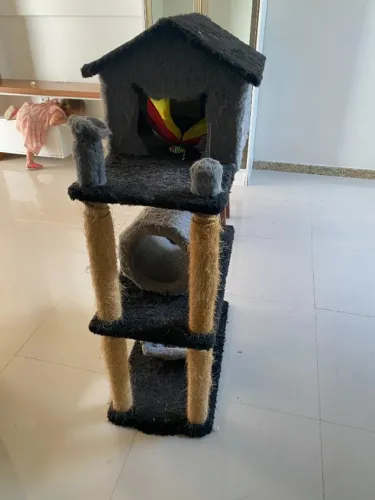 CASA GATO 