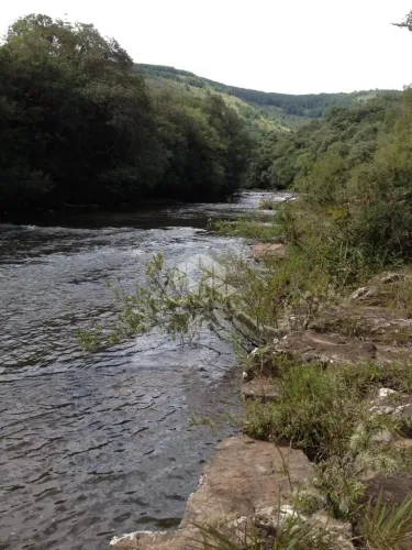 110 HA DE TERRAS EM CAZUZA FERREIRA, SÃO FRANCISCO DE PAULA RS