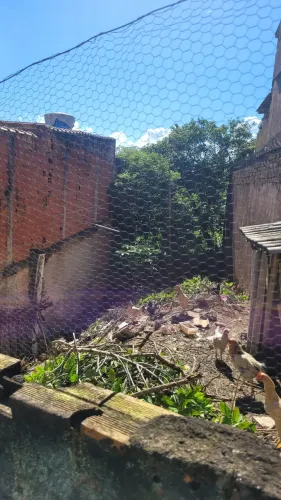 Terreno 