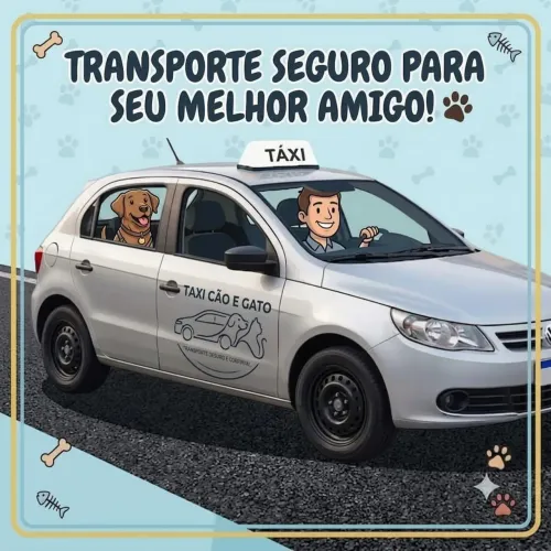 Táxi Cão e gato agende seu horário pelotas/rs