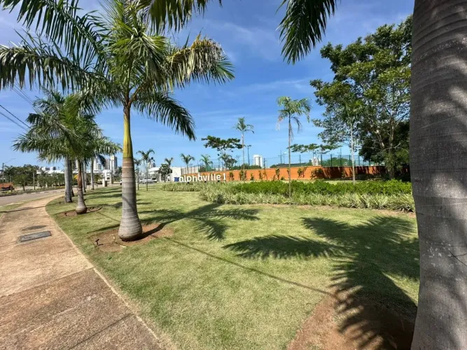 em Plano Diretor Sul - Palmas