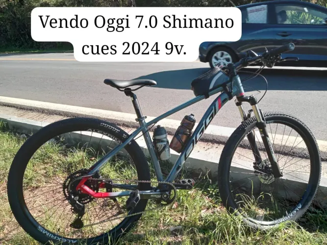 Bicicleta aro 29
