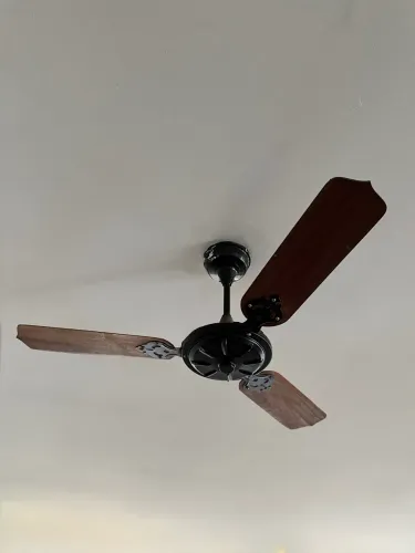 Ventilador de Teto 3 Pás Madeira - Funcionando Perfeitamente