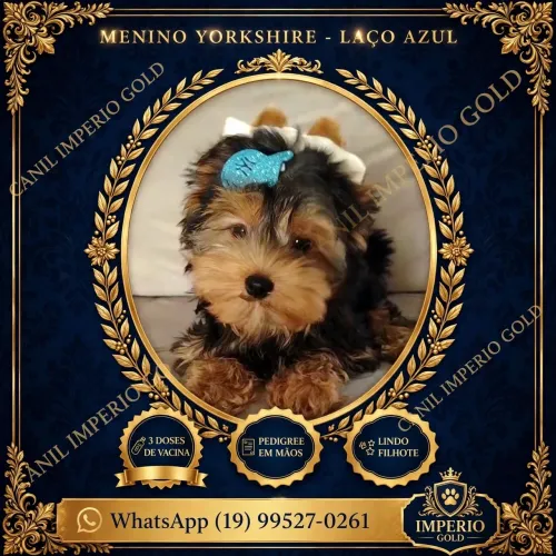 Yorkshire