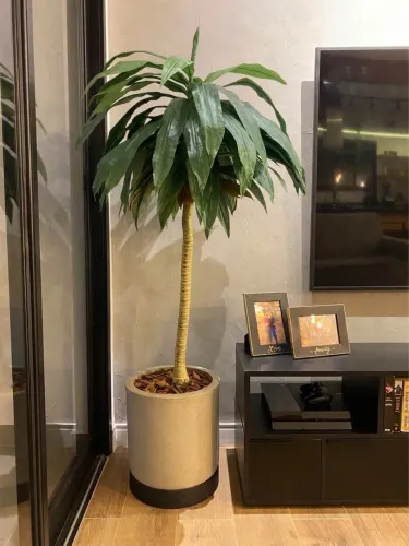 Planta Dracena artificial 