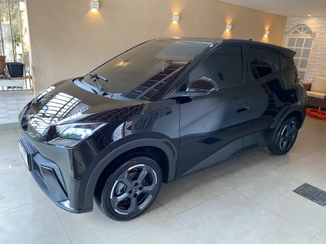 VITRIFICAÇÃO TECNICA BYD E ELETRICOS 