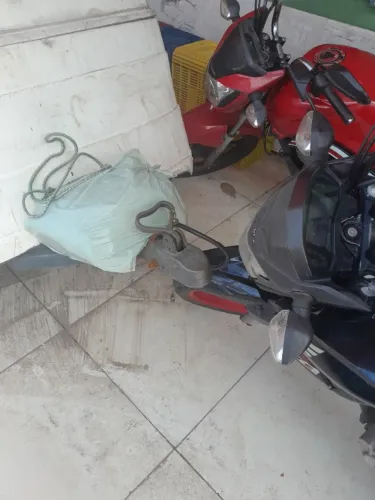 Carretinha Reboque de Fibra Fechada para motos.