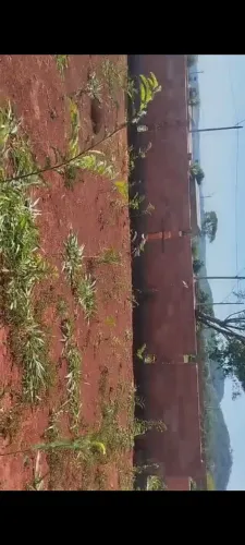 Vendo lote em goianira de esquina 