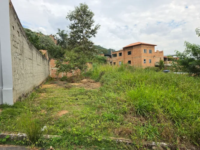 Lote Pérola Negra - Santa Luzia