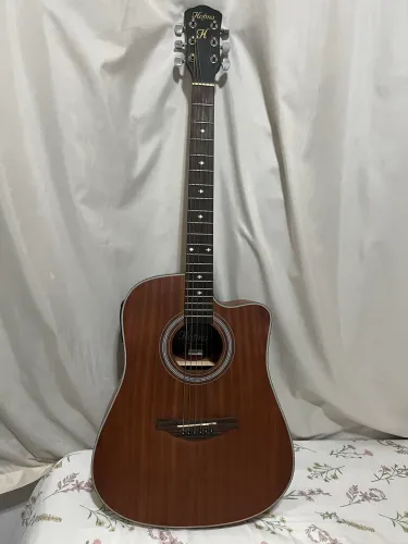 Violão Hofma Aço Elétrico