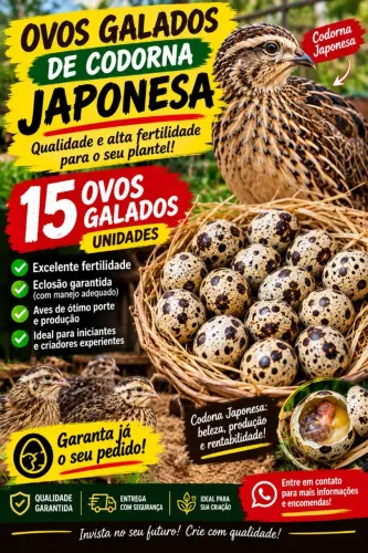 Ovos galados