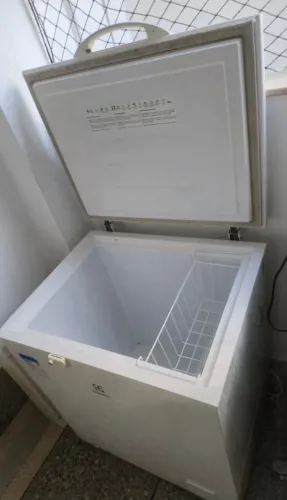 Freezer Horizontal Electrolux H222