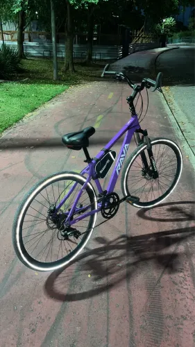 Vendo bike rava aro 29 tudo boa só pegar é andar?